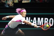 【ATP马赛站】张之臻因伤退赛,无缘男单四强